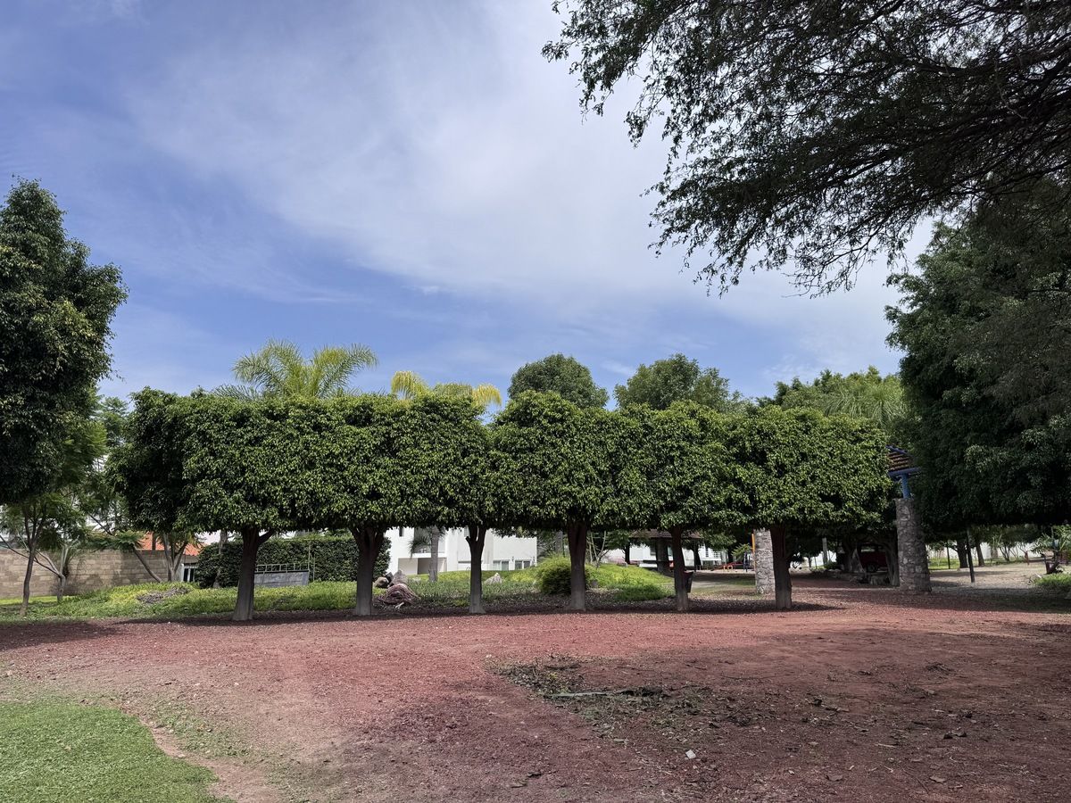 9 de 17