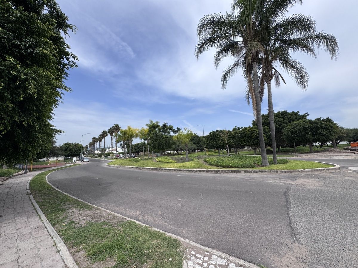 14 de 17: Camellón principal