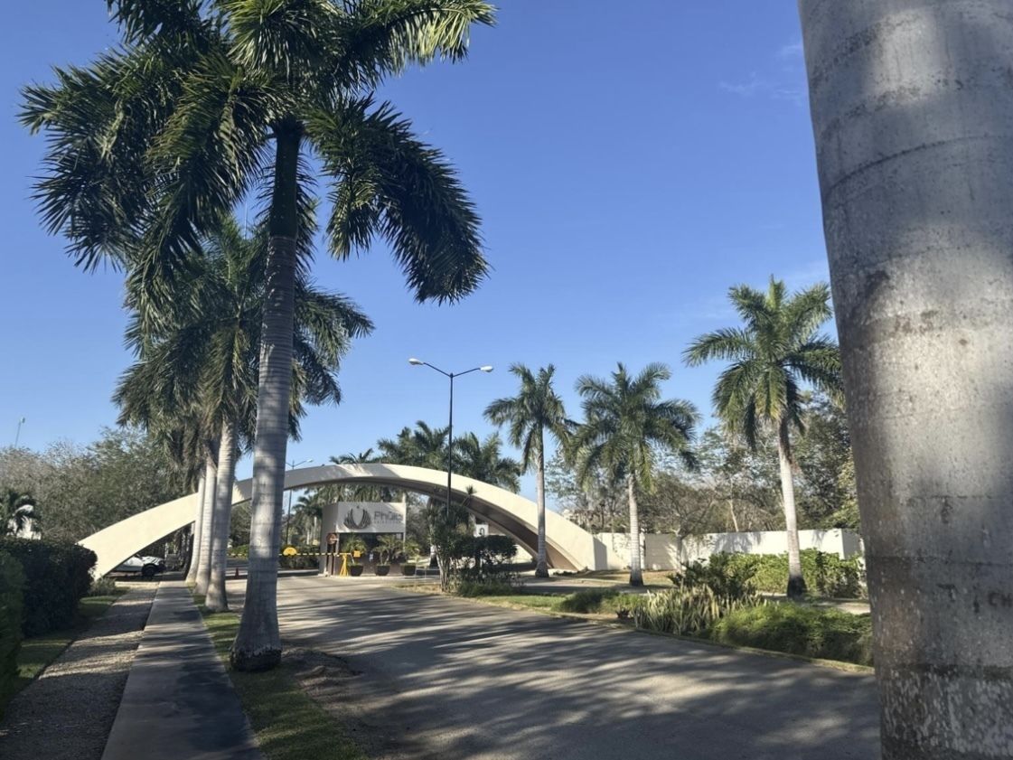 5 de 14