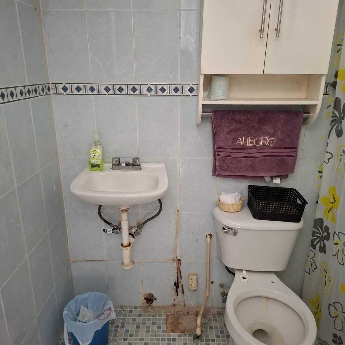 6 de 11