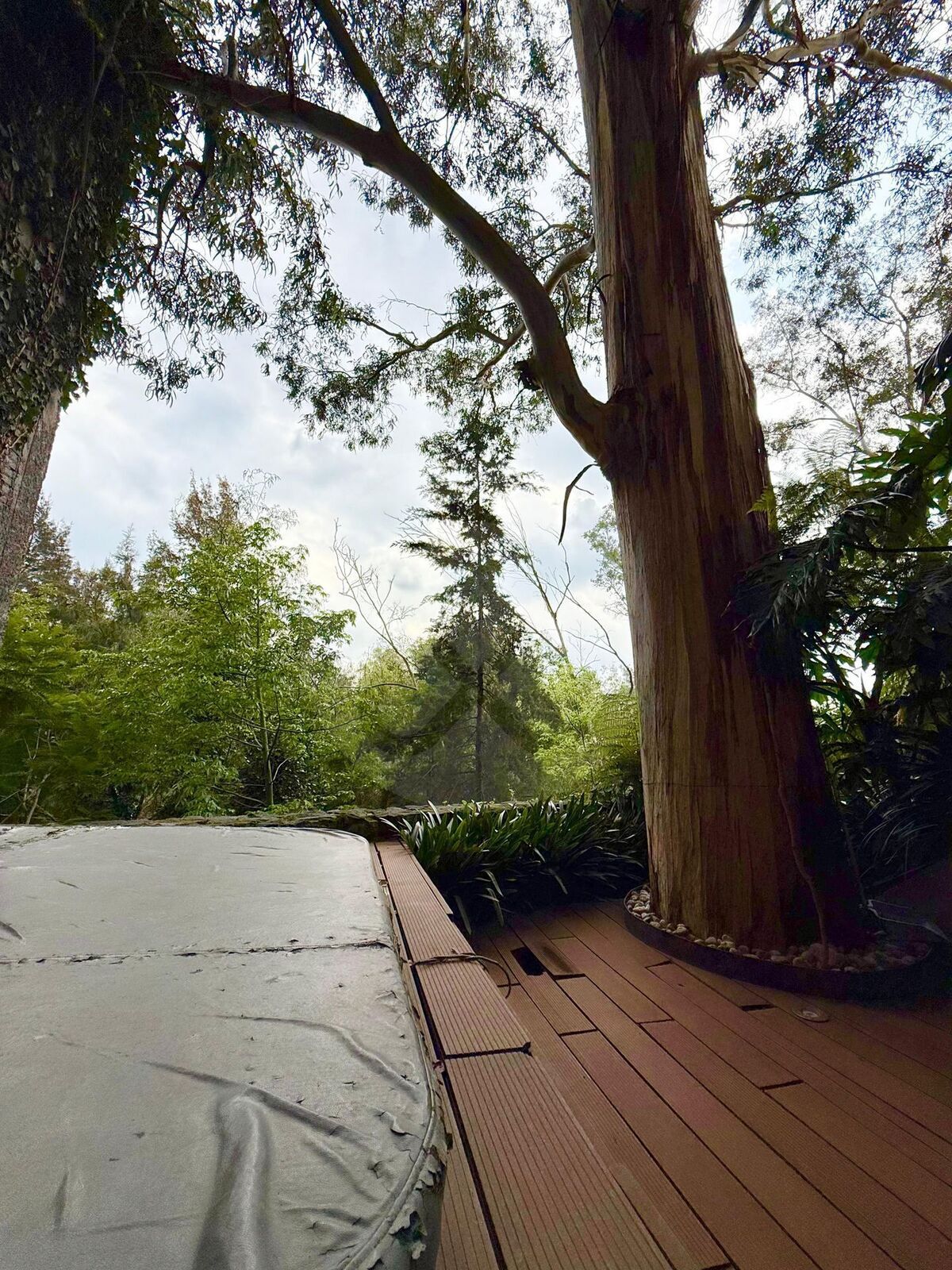 38 of 39