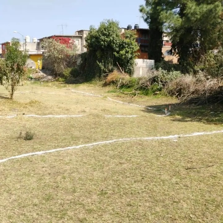 4 de 7