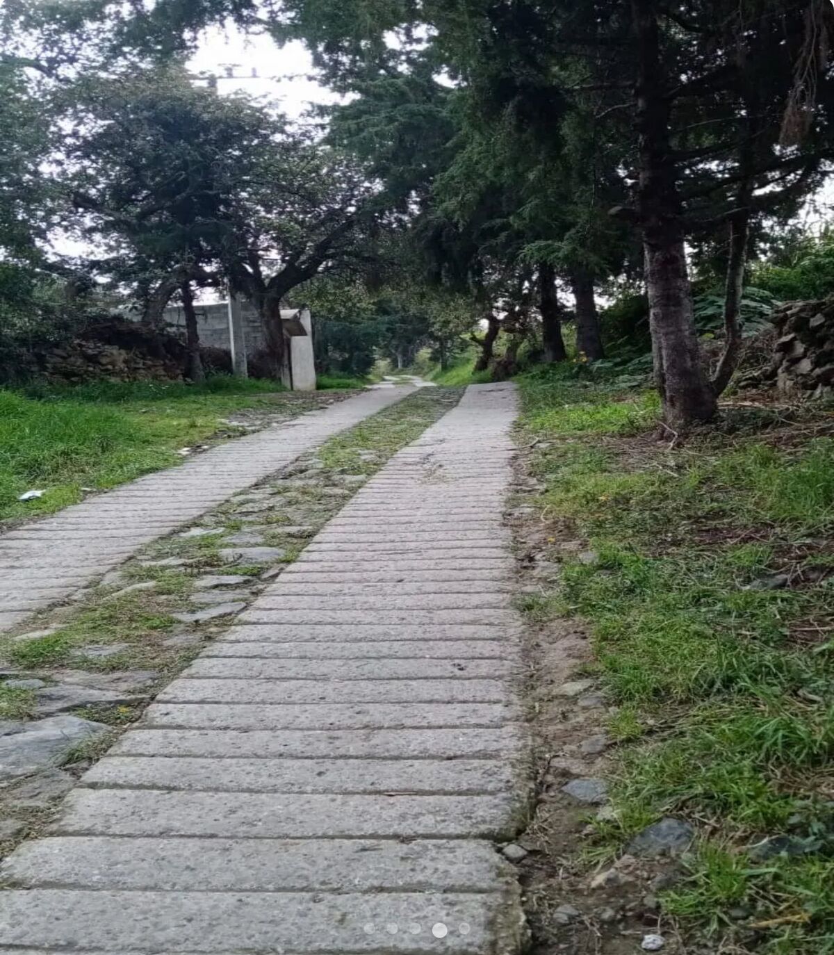 2 de 13
