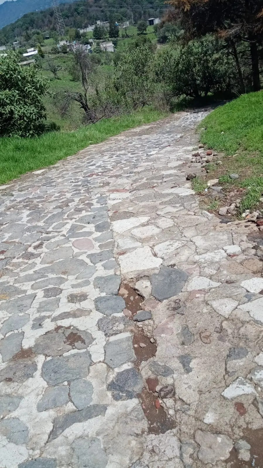 5 de 13