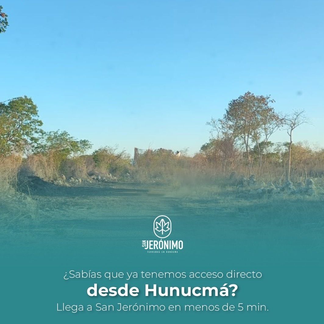 Imagen 3 de 4