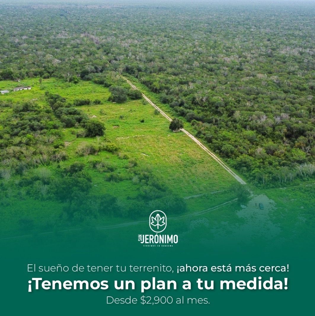 Imagen 4 de 4