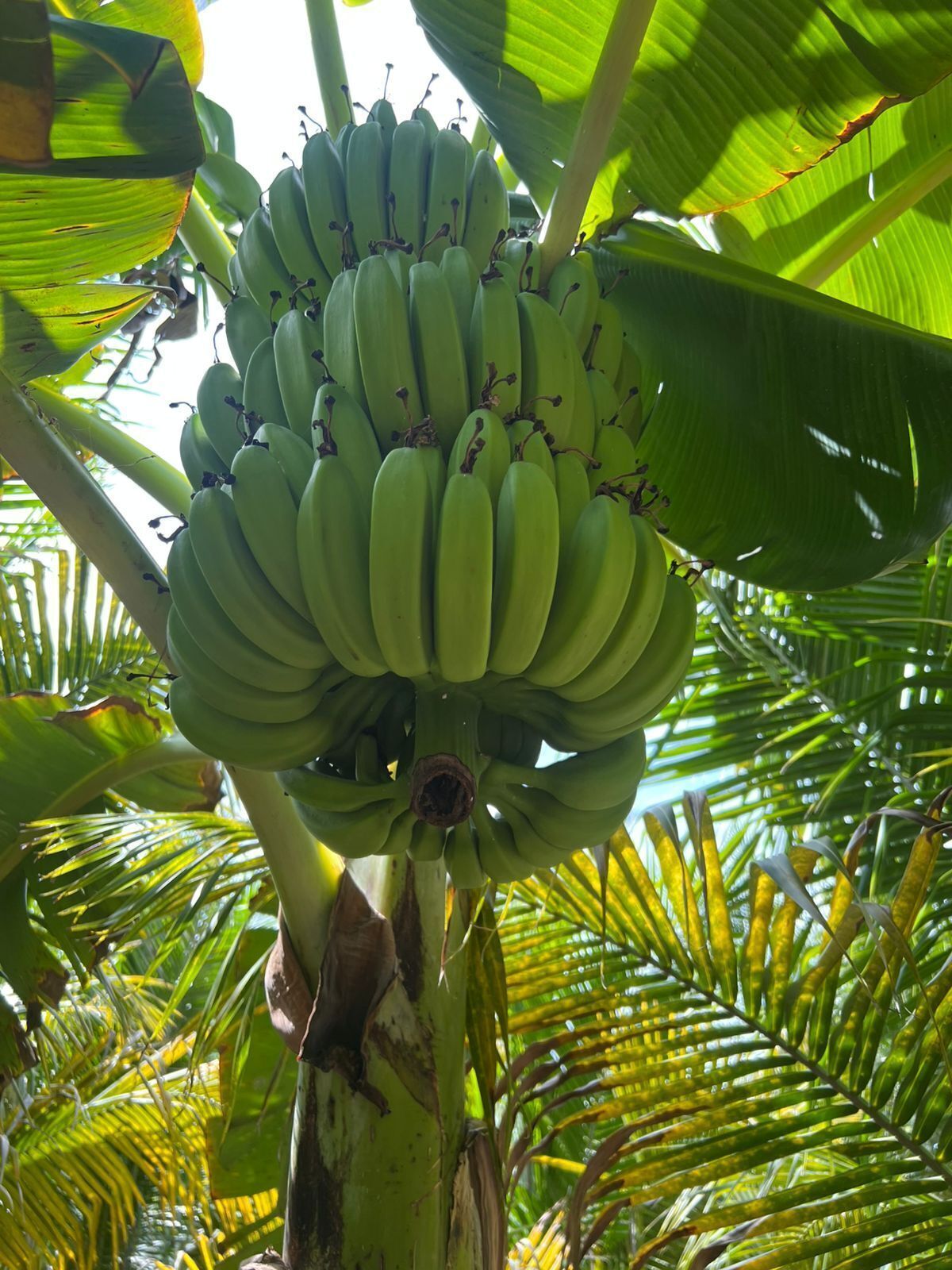 3 de 8