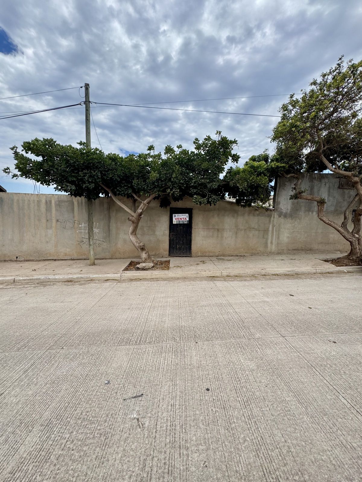2 de 8
