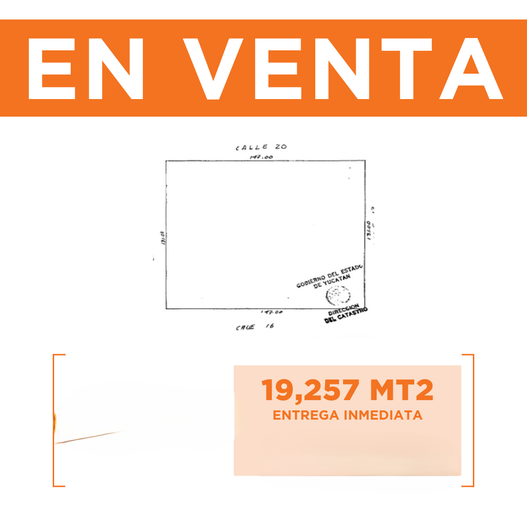 5 de 8