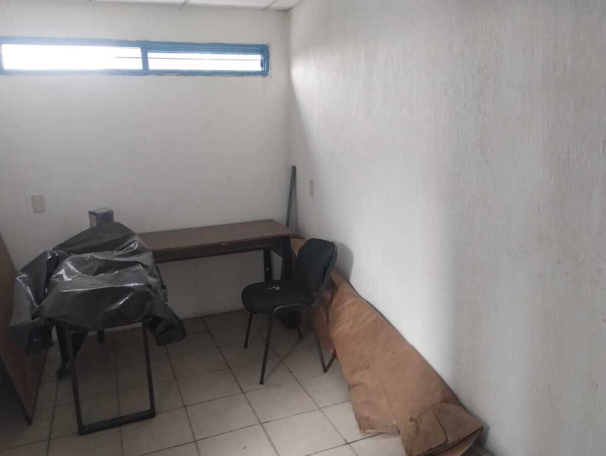 6 de 11