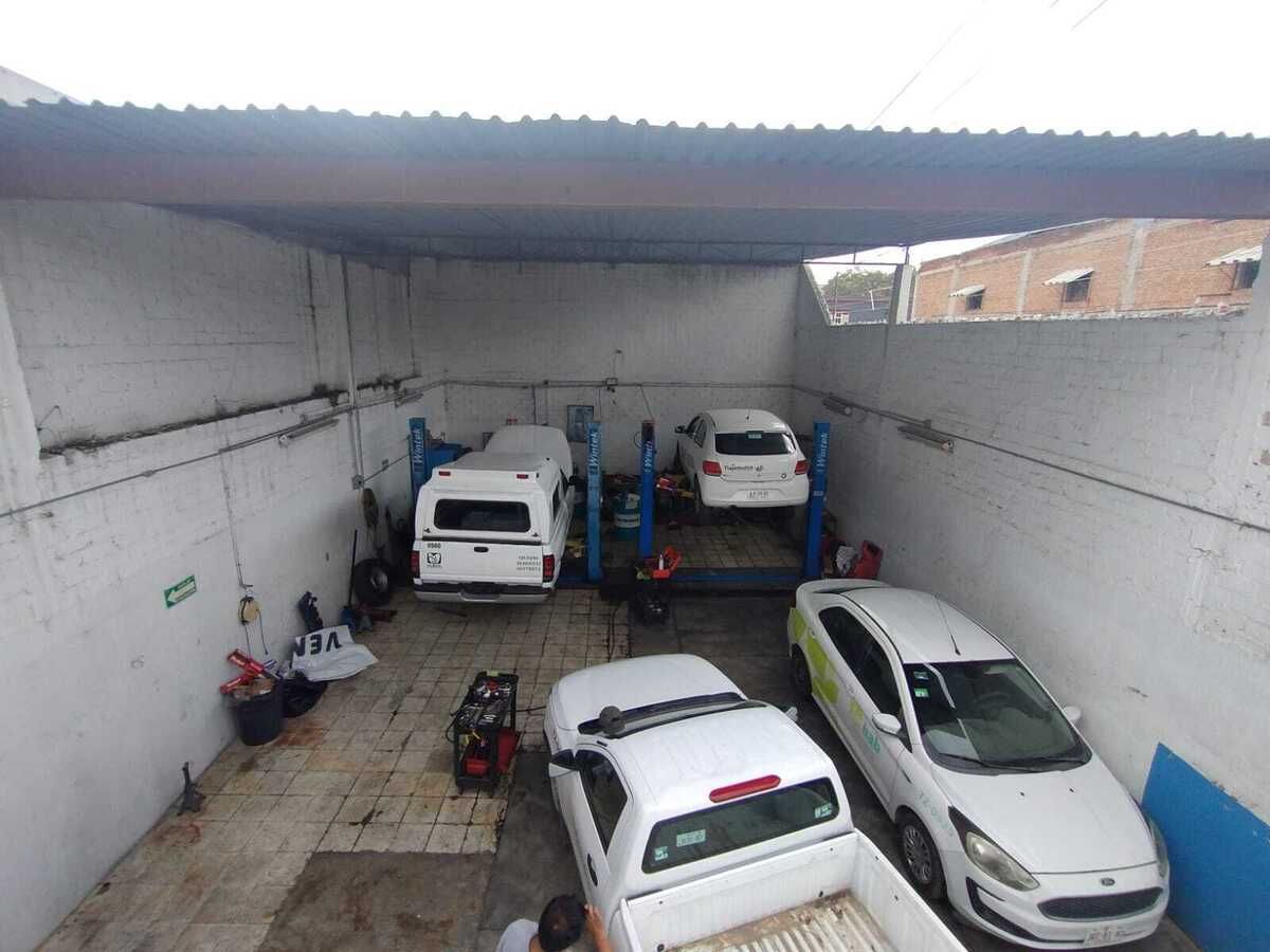 3 de 11