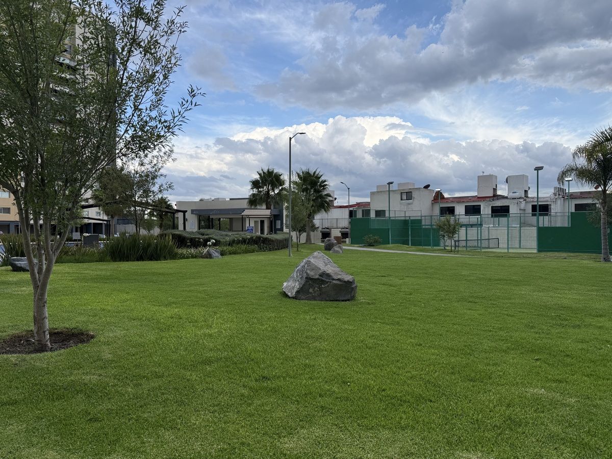 11 de 29