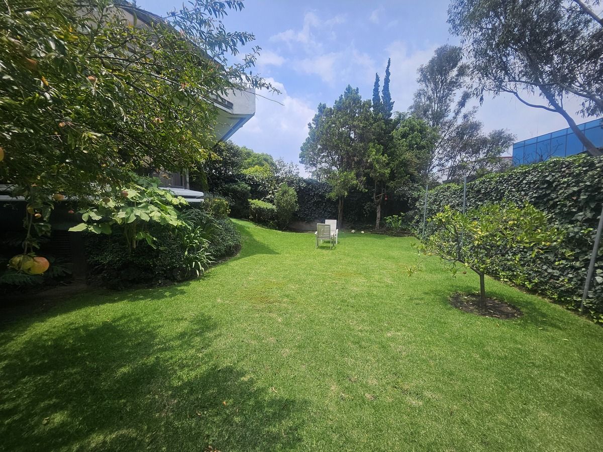 114, Calle Bosque De Pinos, Bosque de las Lomas, 11700 114, Calle Bosque De Pinos, Bosque de las Lomas, 11700