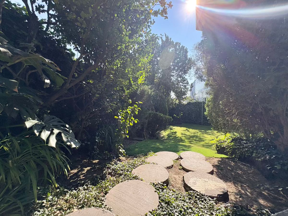 114, Calle Bosque De Pinos, Bosque de las Lomas, 11700