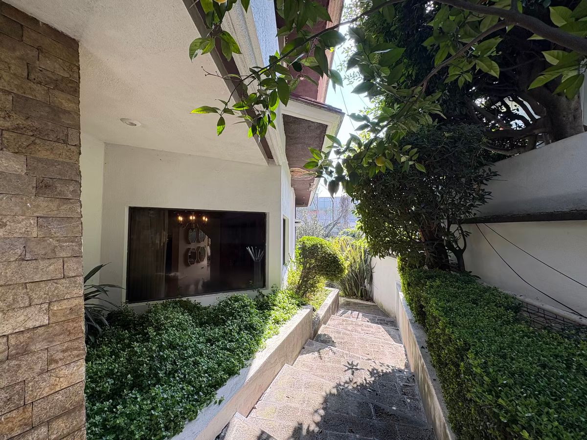 114, Calle Bosque De Pinos, Bosque de las Lomas, 11700