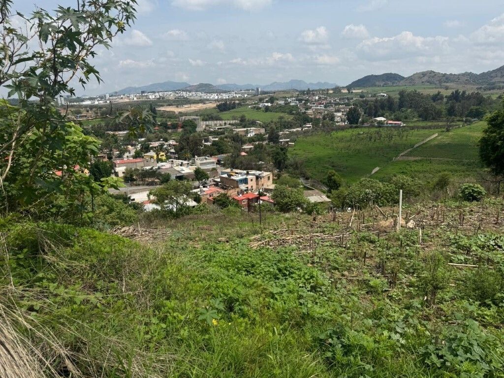 3 de 17
