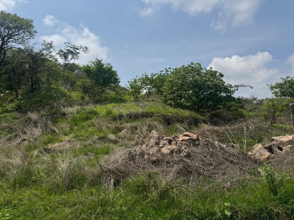 4 de 17