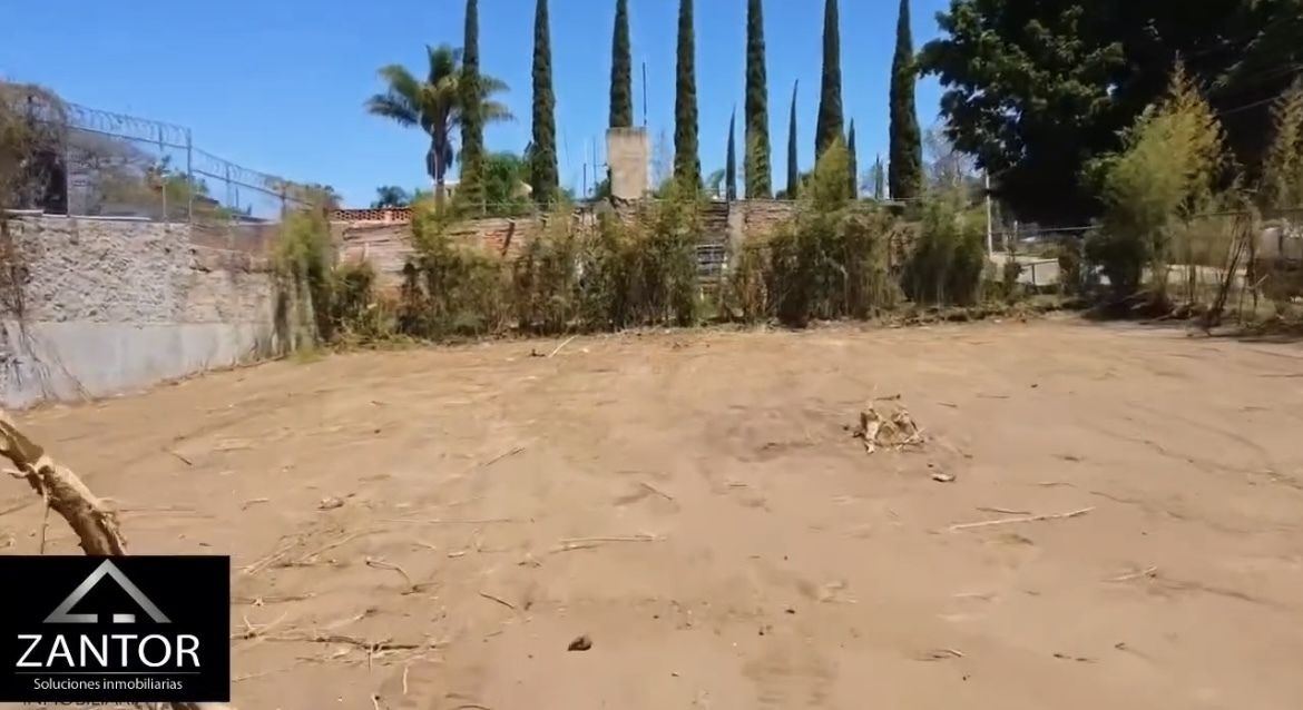 2 de 6