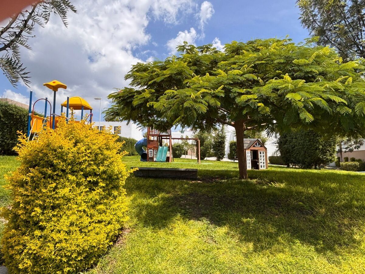 36 de 38