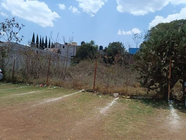 1 de 7