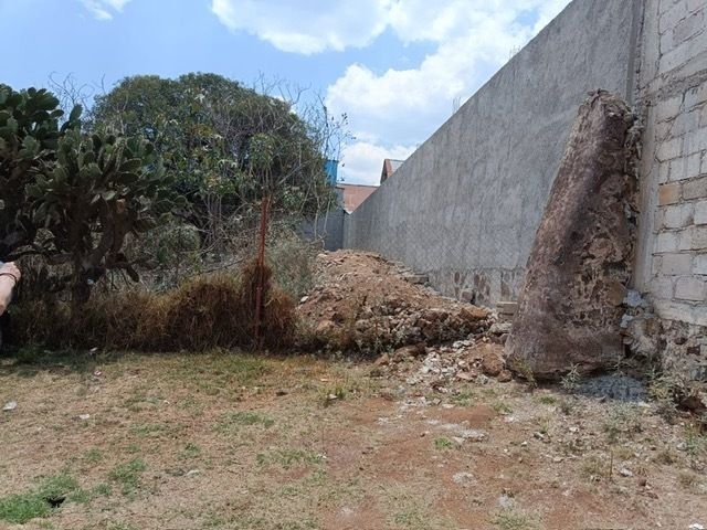 2 de 7