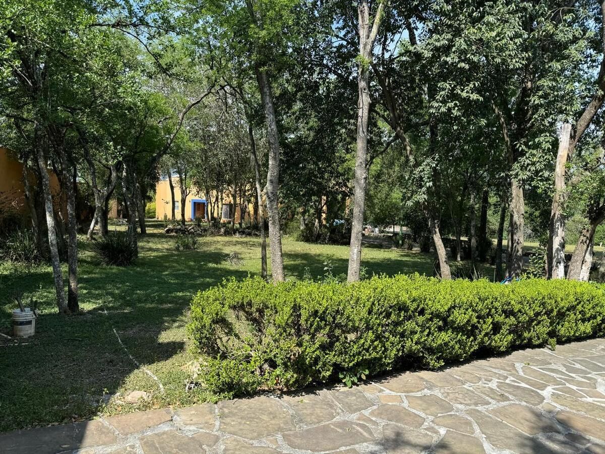 12 de 24