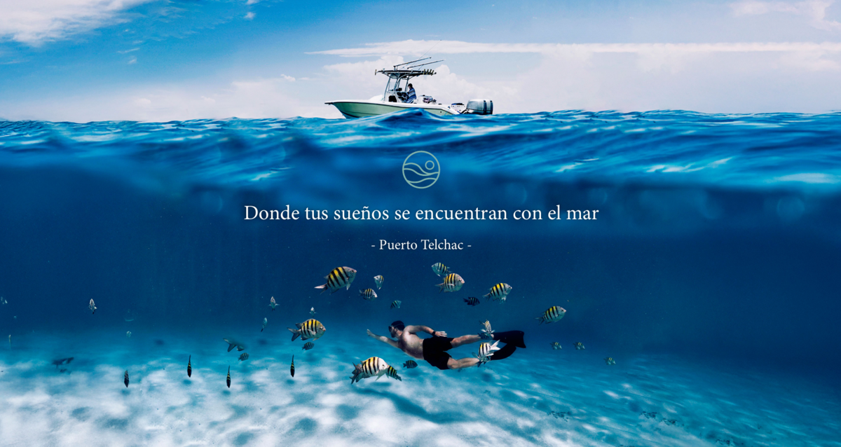 12 de 16