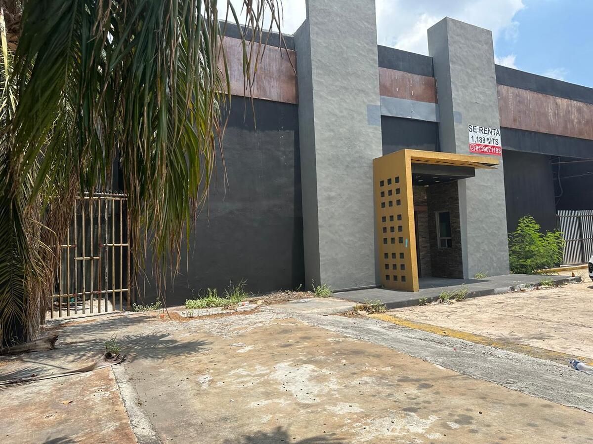 3 de 11