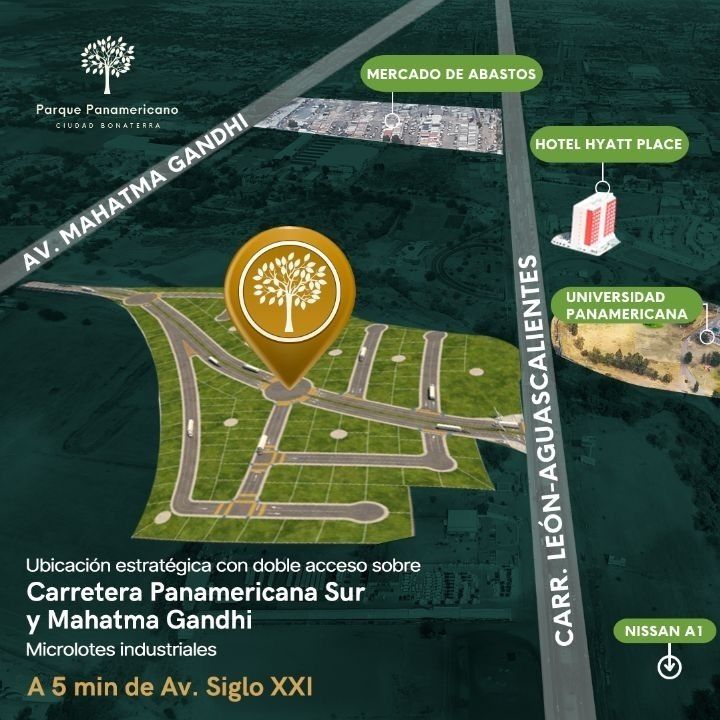 2 de 7
