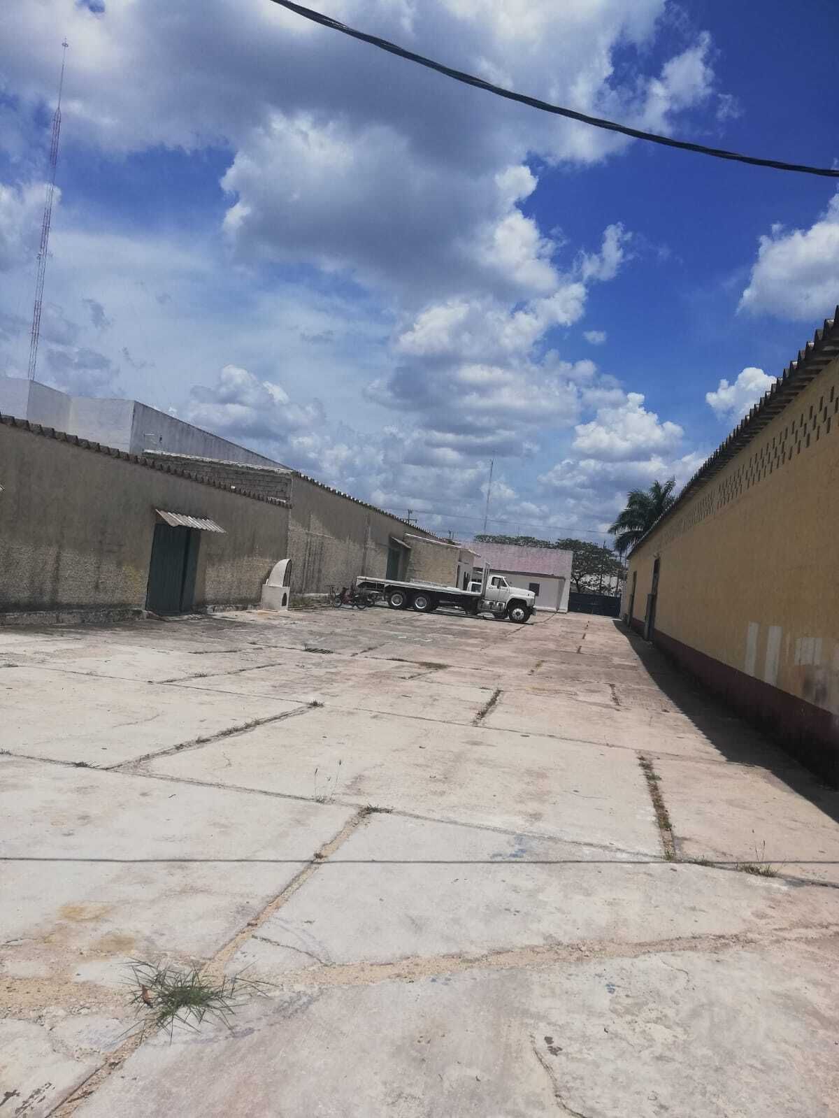 4 de 6