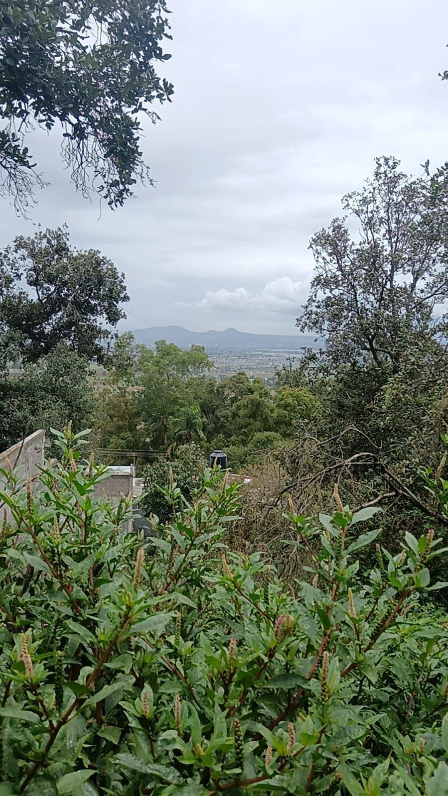 3 de 5