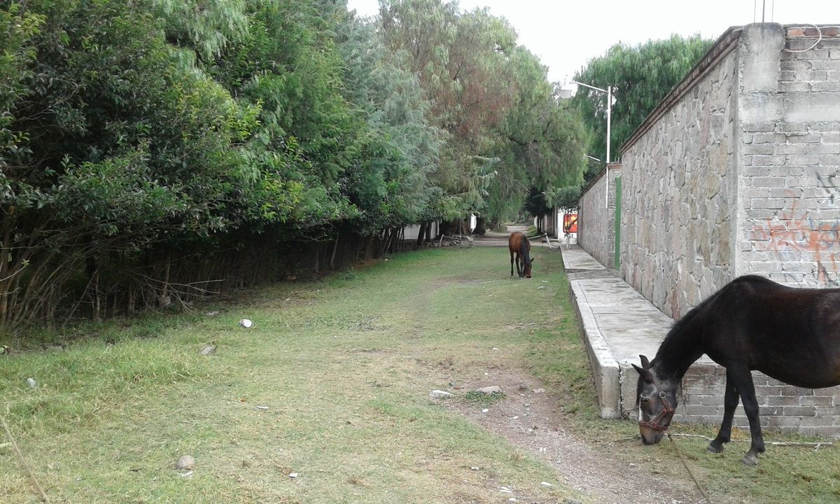 2 de 6