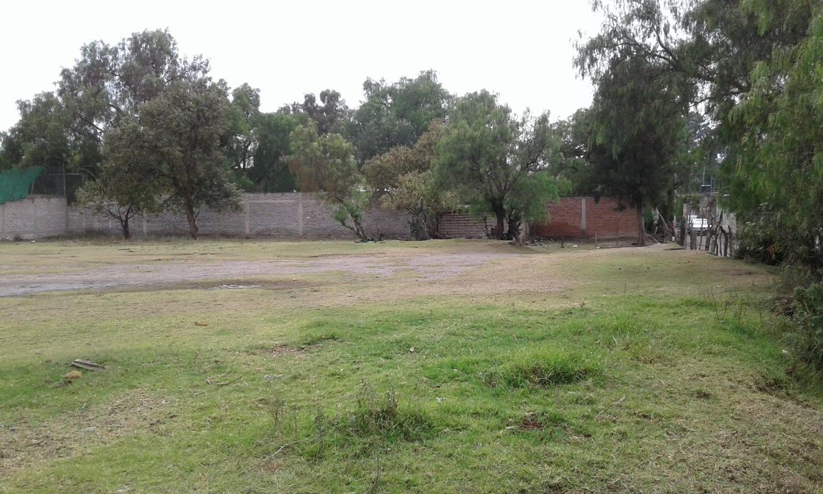 4 de 6
