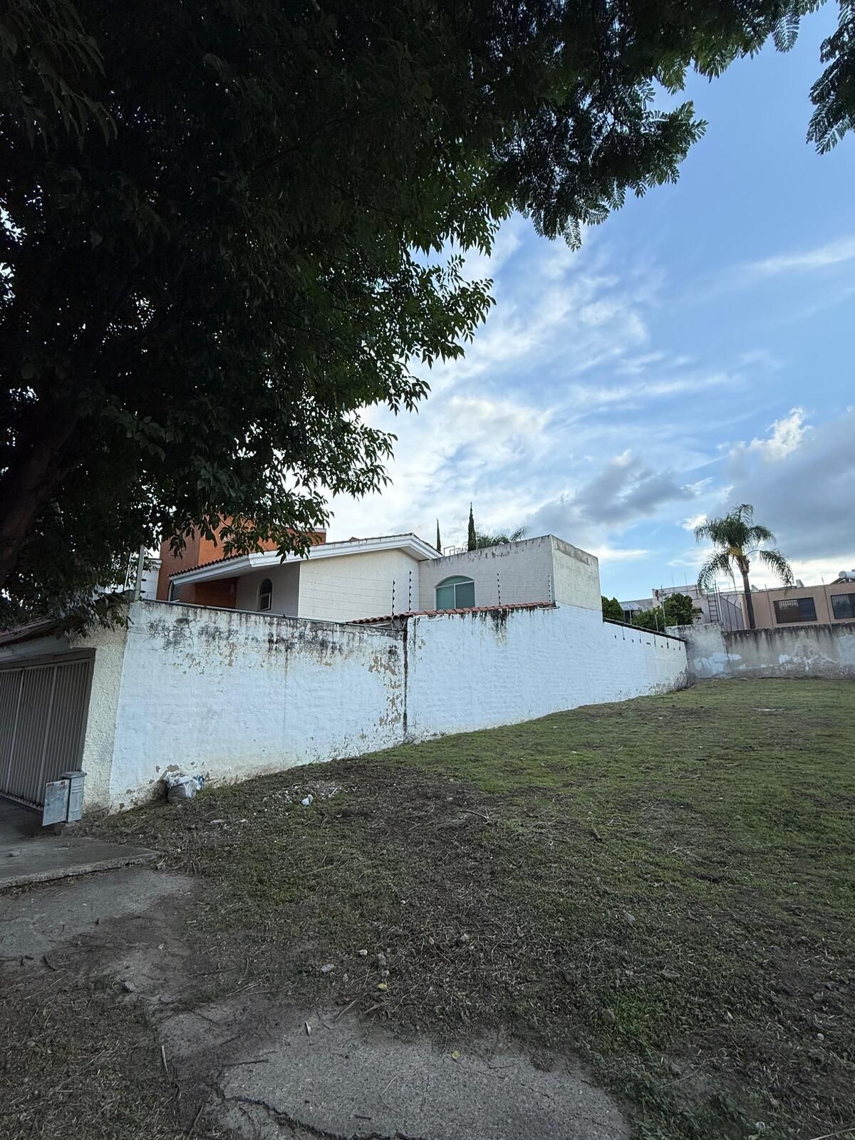 3 de 6