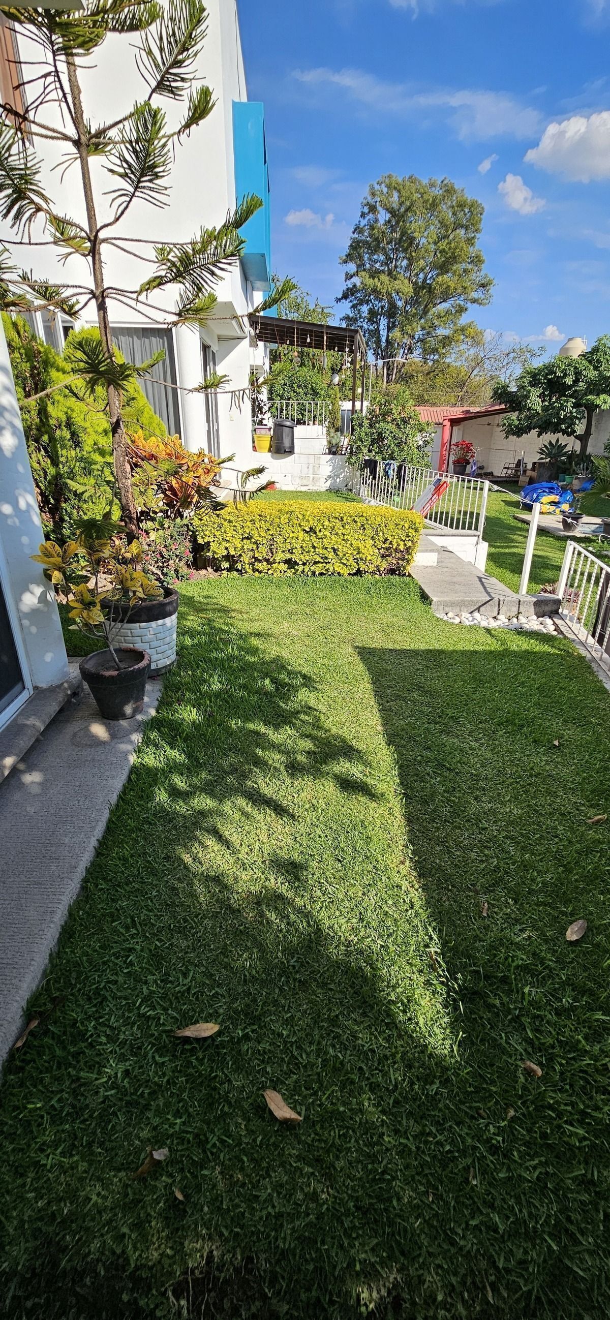 42 de 44