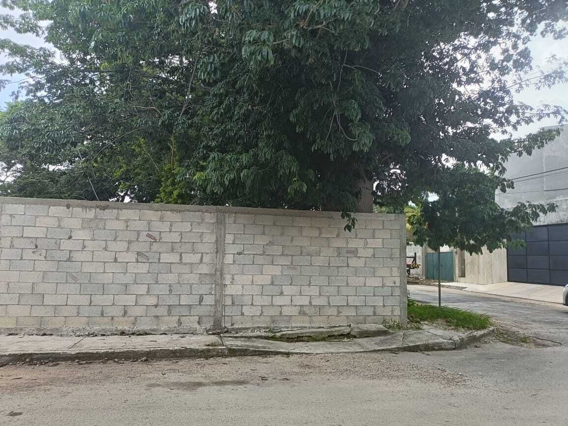 2 de 3