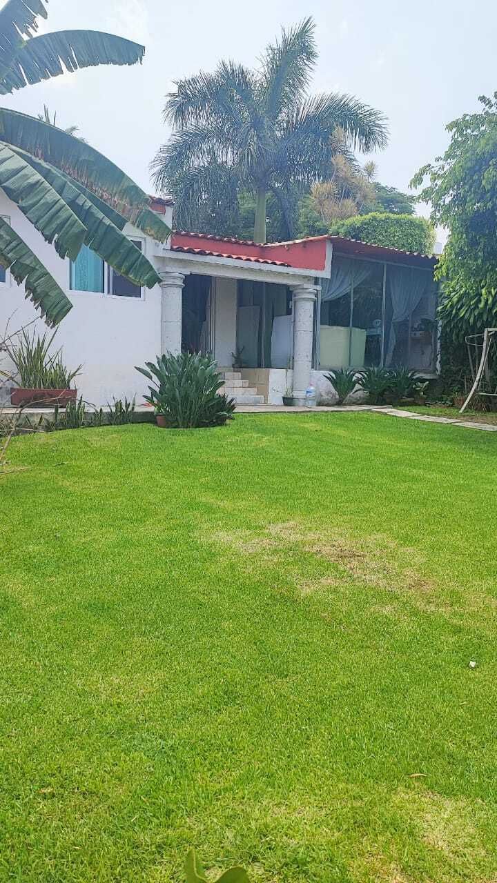 2 de 11