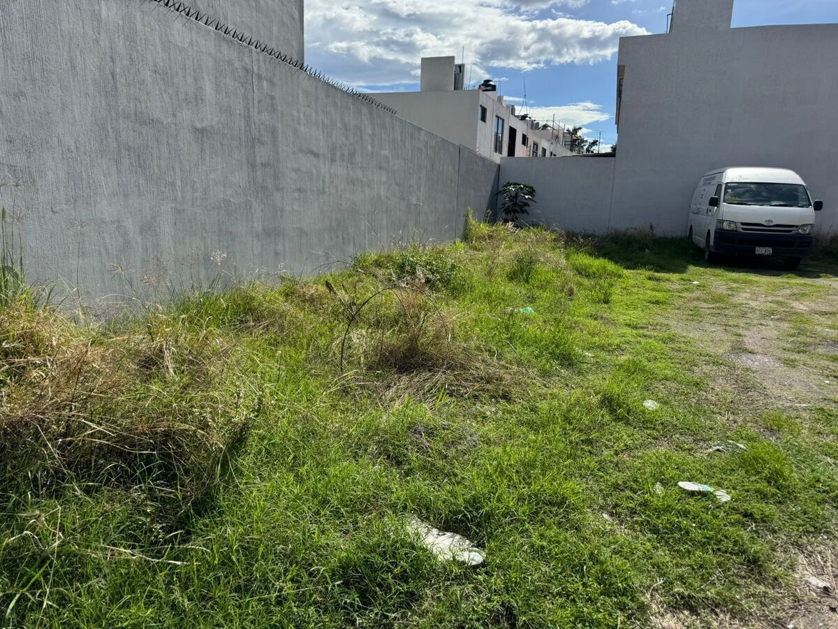 2 de 7