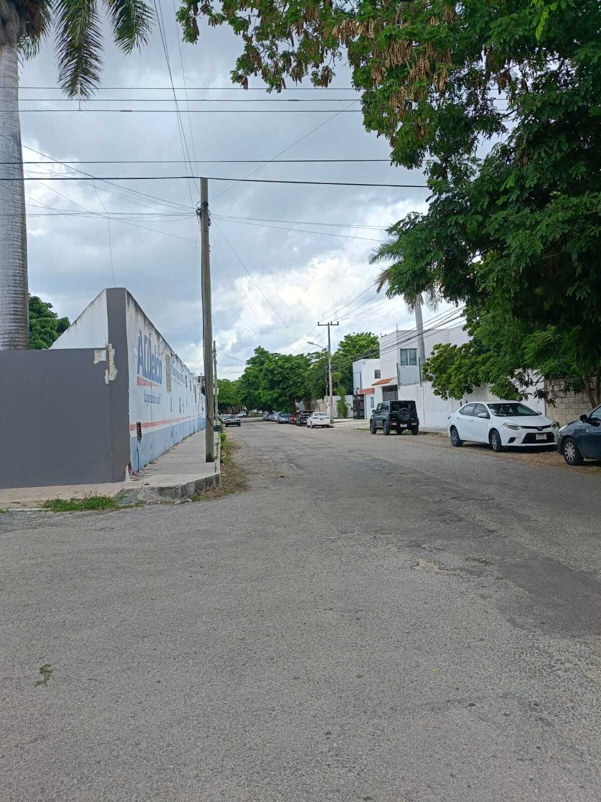 Imagen 5 de 5