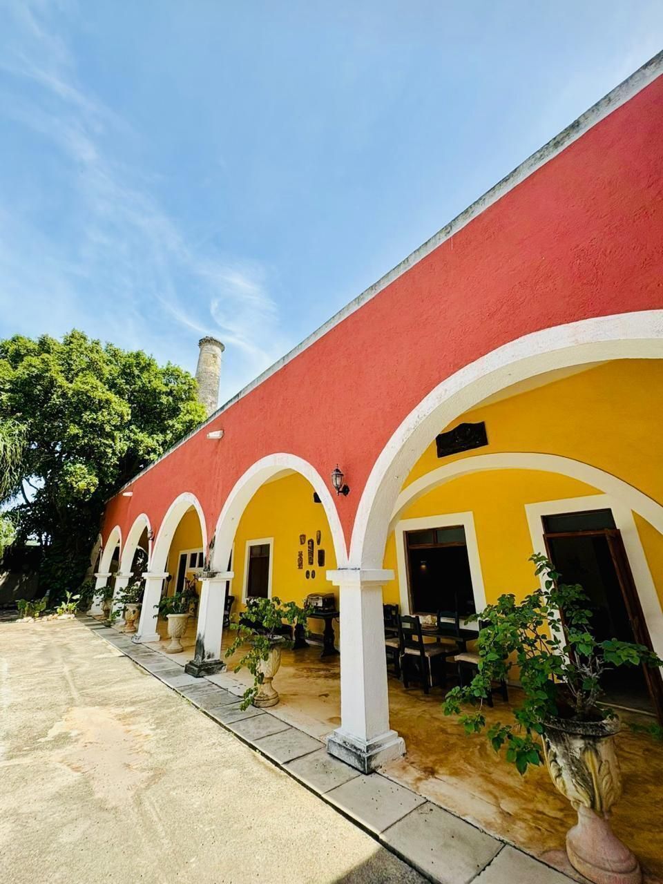 5 de 46