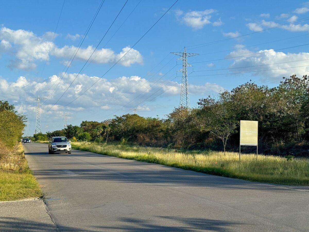 4 de 13
