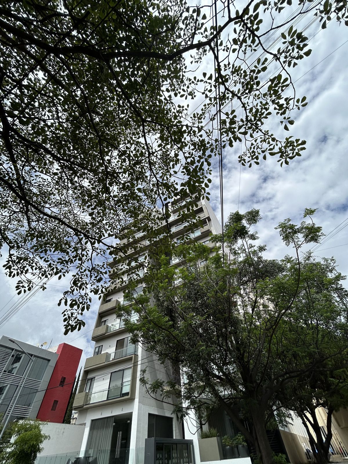 2 de 33