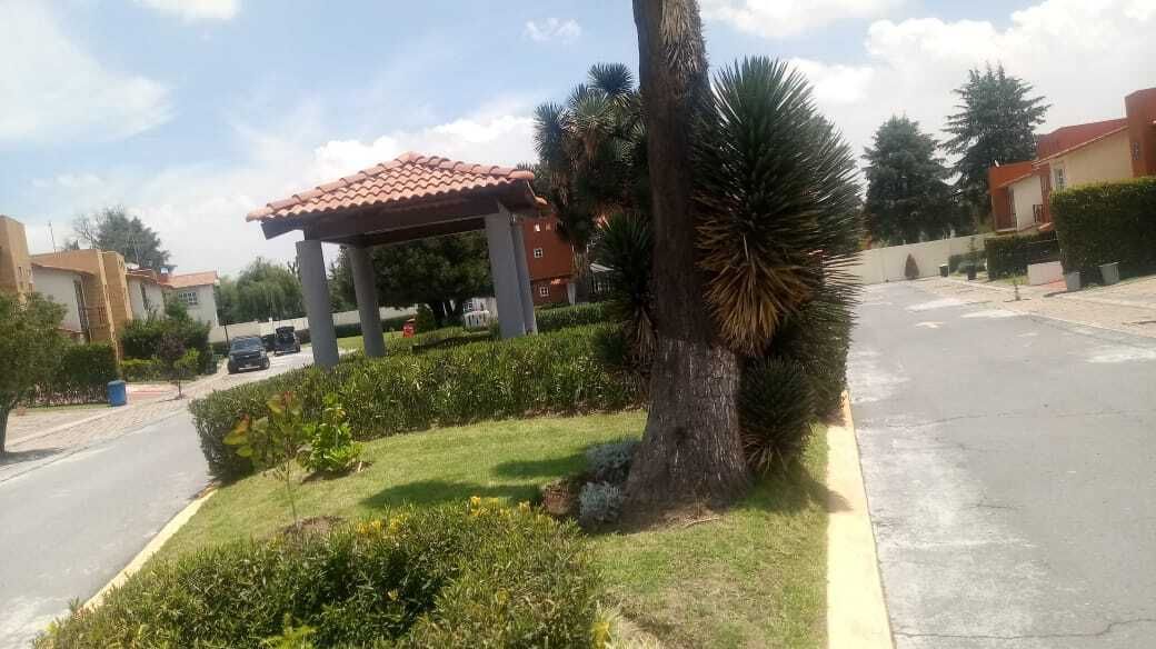 8 de 37