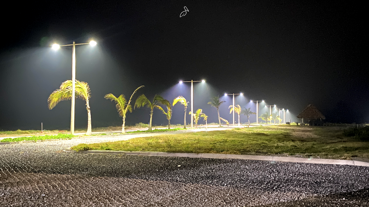 9 de 22