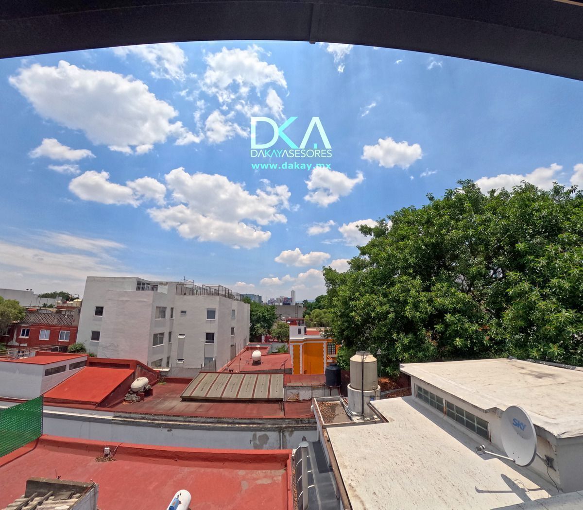 28 de 32
