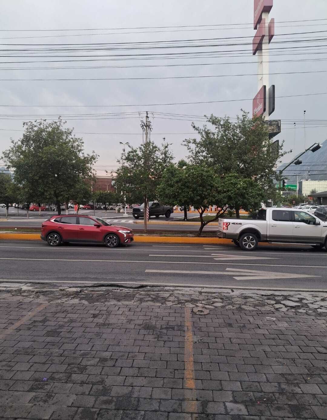 11 de 12