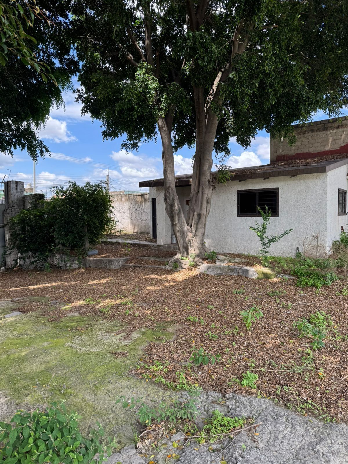 15 of 19: casita velador