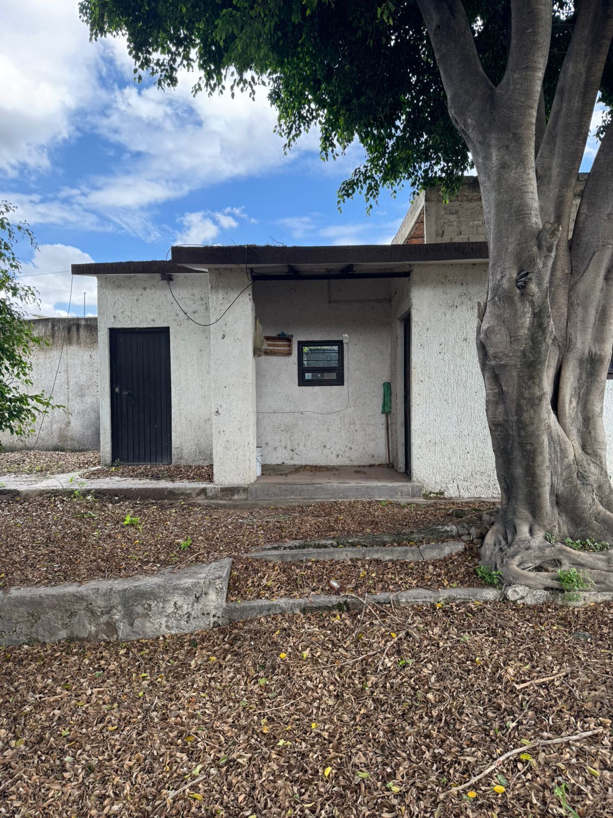 16 of 19: casa velador