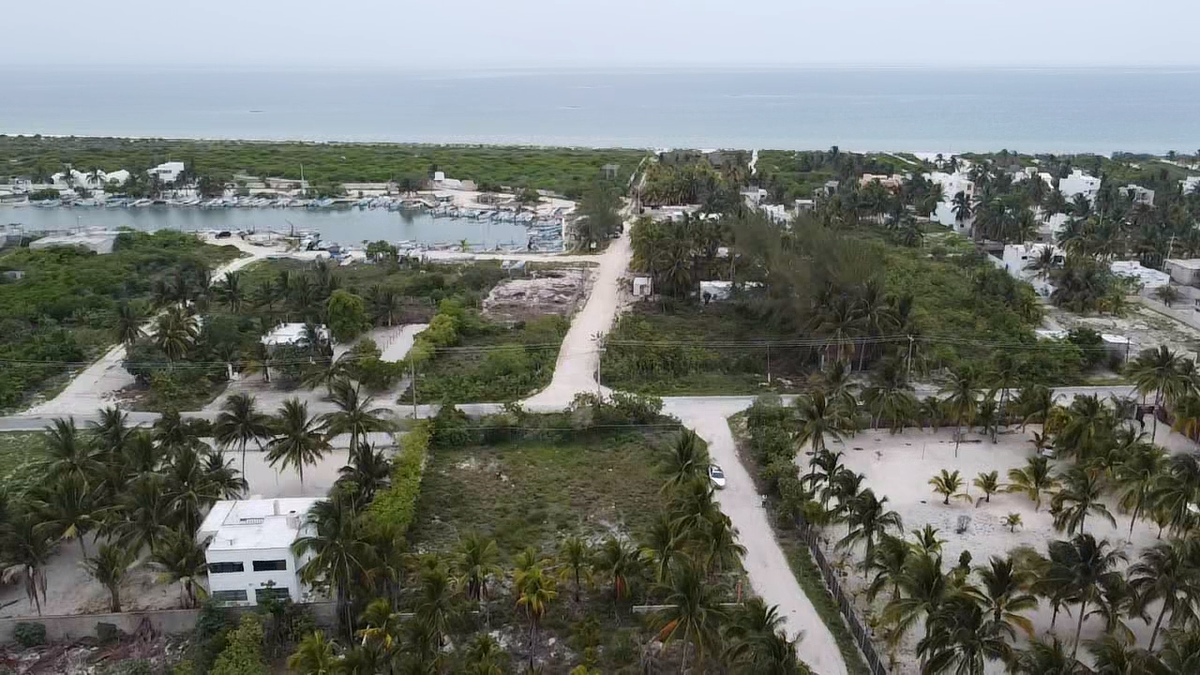 5 de 10