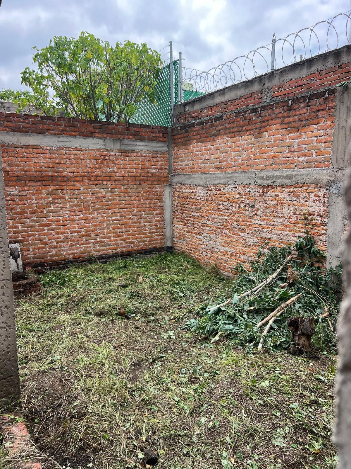 5 de 19
